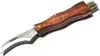 A mushroom hunting knife with a brush attached to the handle, shown against a white background. Podgląd zdjęcia produktu