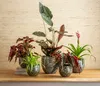 Dehner Übertopf Neyla, handgefertigter Indoor Blumentopf, Ø Produktbild-Vorschau 2