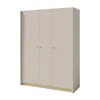 Kleiderschrank ALEX, Drehtürenschrank mit 3 Türen, 145×195 Produktbild-Vorschau 4