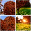 Wanduhr - Rund - Glasuhr - Baum Park Frühling Herz - Produktbild-Vorschau 8