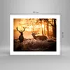 Poster - Poster ohne Rahmen - Deer Heidekraut Tier - 50x40 Produktbild-Vorschau 4