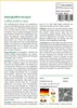 SAFLAX - Garden in the Bag - Zwergkaffee-Strauch - 8 Samen Produktbild-Vorschau 3