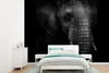 MuchoWow® Fototapete für Wohnzimmer oder Schlafzimmer Produktbild-Vorschau 1