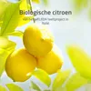Dezodorant w kulce Weleda Citrus 24H Podgląd zdjęcia produktu 8