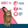 Perfect Fit Adult 1+ Trockenfutter für erwachsene Katzen Produktbild-Vorschau 3