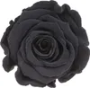 Infinity Rose L Ø5cm konserviert stabilisiert haltbar Produktbild-Vorschau 1