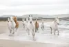 Komar Fototapete "White Horses", weiss/beige, 368 x 254 cm Produktbild-Vorschau 2