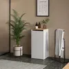 A bathroom scene with a white cabinet, a plant, and a towel rack. Voir les images du produit