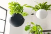 Three hanging planters with plants are shown indoors, with a window in the background. Náhľad obrázku produktu