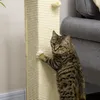 PawHut Kratzbaum, 80 cm, Kratzstamm für Katzen mit Produktbild-Vorschau 9