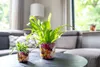 TS Collection - Vase Consich Sweet magnolia - 21x18 Produktbild-Vorschau 4