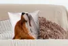 MuchoWow® Zierkissen Sofakissen Wohnzimmer Dekokissen 50x50 Produktbild-Vorschau 4