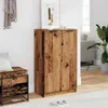 A shoe cabinet in a room with a rug and a plant. Podgląd zdjęcia produktu