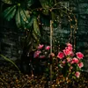 ADONIS 2700K LED Lampada da giardino solare che guida Anteprima dell’immagine prodotto 6