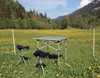 BasicNature Rolltisch 'klein' 70 x 70 cm Produktbild-Vorschau 6