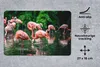 MuchoWow® Mauspad Mousepad Flamingo - Tropisch - Vogel - Produktbild-Vorschau 2