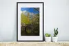 MuchoWow® MuchoWow® Gerahmtes Poster Oud - Pflanzen - Produktbild-Vorschau 4