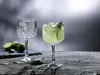 Pasabahce Sada sklenic Timeless, 12 kusů sklenic na gin a Náhled obrázku produktu 6
