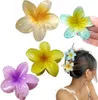 Camerazar Set di 4 fermagli floreali colorati per la Anteprima dell’immagine prodotto 8