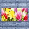Glasbilder 140x70 Wandbild Druck auf Glas Blumen Pflanzen Produktbild-Vorschau 2