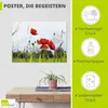 ARTland Poster Mohnblumen I Größe: 60x45 cm Produktbild-Vorschau 2