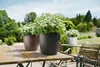 LECHUZA® Pflanzgefäße CLASSICO Color 28 Schiefergrau Produktbild-Vorschau 9