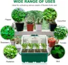 A collage of various plants and a seed starting tray with a transparent lid. Náhľad obrázku produktu