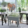 A woman tending to plants in a greenhouse or sunroom. Náhľad obrázku produktu