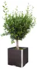 Rattan-Pflanzkübel mit Alubeschlägen 46 x 46 x 46 cm : Produktbild-Vorschau 3