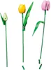 LEGO® Botanicals 11501 Bloemenboeket met tulpen Productafbeelding-voorbeeld 18