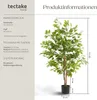 tectake® Künstlicher Ficusbaum Fida verschiedene Größen Produktbild-Vorschau 5