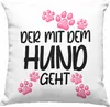 Trendation - Der Mit dem Hund Geht Deko-Kissen mit Füllung Produktbild-Vorschau 1