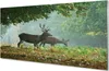 Glasbilder 120x60 Wandkunst Deer Herbstwald Produktbild-Vorschau 1