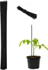 Tuti per piante Relaxdays, set da 50 pezzi, 60 cm, bambù, Anteprima dell’immagine prodotto 1