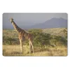 MuchoWow® Schreibtischunterlage Giraffe - Landschaft - Produktbild-Vorschau 1