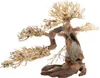Dupla Bonsai L - handgefertigte Dekoration für Aquarien Produktbild-Vorschau 2