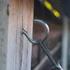 Schraubhaken halbrund Holzgewinde - Edelstahl A2 V2A (80 x Produktbild-Vorschau 6