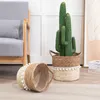 Pflanzkorb LINI 2er Set aus Seegras braun/natur - Übertopf, Produktbild-Vorschau 2
