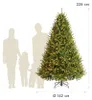 Evergreen Sapin de Noël artificiel Richmond Sapin avec LED Voir les images du produit 12