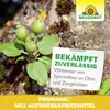 Neudorff Promanal Neu Austriebsspritzmittel 500ml Produktbild-Vorschau 6