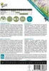Lampenputzergras | Ziergrassamen von Buzzy Seeds Produktbild-Vorschau 4
