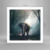 Poster - Poster ohne Rahmen - elefant natur - 50x50 cm - Produktbild-Vorschau 4