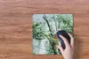 MuchoWow® Mauspad Mousepad Zwergseidenäffchen im Baum 30x30 Produktbild-Vorschau 3