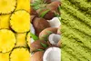 Loyd Zielona Herbata z Matcha o Smaku Ananasa i Kokosa w Podgląd zdjęcia produktu 5