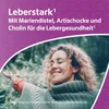 Leber-Komplex Mariendistel+Artischocke+Cholin Kps. 120 St Produktbild-Vorschau 2