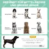 PawHut Lettino per cani rialzato con tettoia, letto per Anteprima dell’immagine prodotto 4