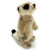 Erdmänchen Kuscheltier Manguste 19 cm Plüschtier * STEVE Produktbild-Vorschau 3