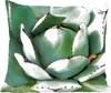 MuchoWow® Zierkissen Sofakissen Wohnzimmer Dekokissen 40x40 Produktbild-Vorschau 1