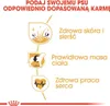 Royal Canin Cocker Adult, Dospělý jedinec, Kokršpaněl, Náhled obrázku produktu 5