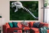 MuchoWow® Poster Affe - Ringschwanzlemur - Wald 180x120 cm Produktbild-Vorschau 2